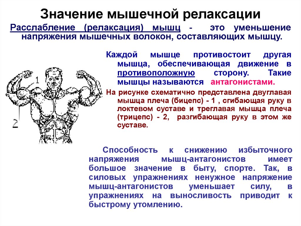 Мышечная релаксация презентация