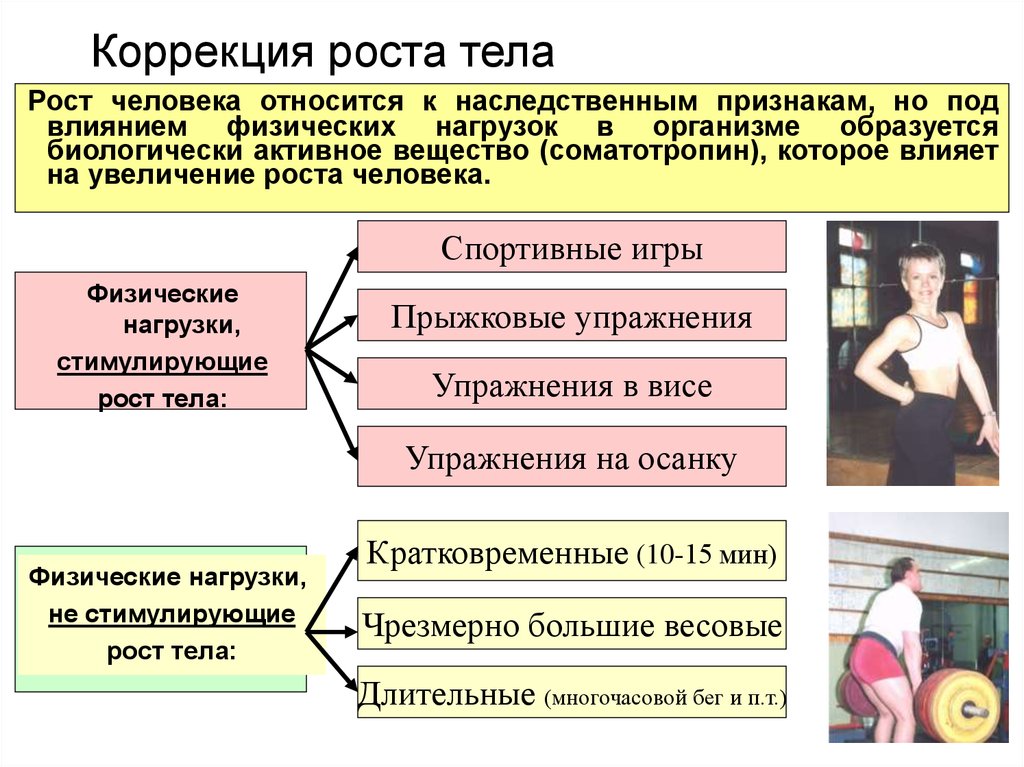 Влияет ли рост. Физические нагрузки, стимулирующие рост человека – это…. Что влияет на рост человека. Физические нагрузки, стимулирующие рост тела человека:. Какие физические нагрузки стимулируют рост человека.