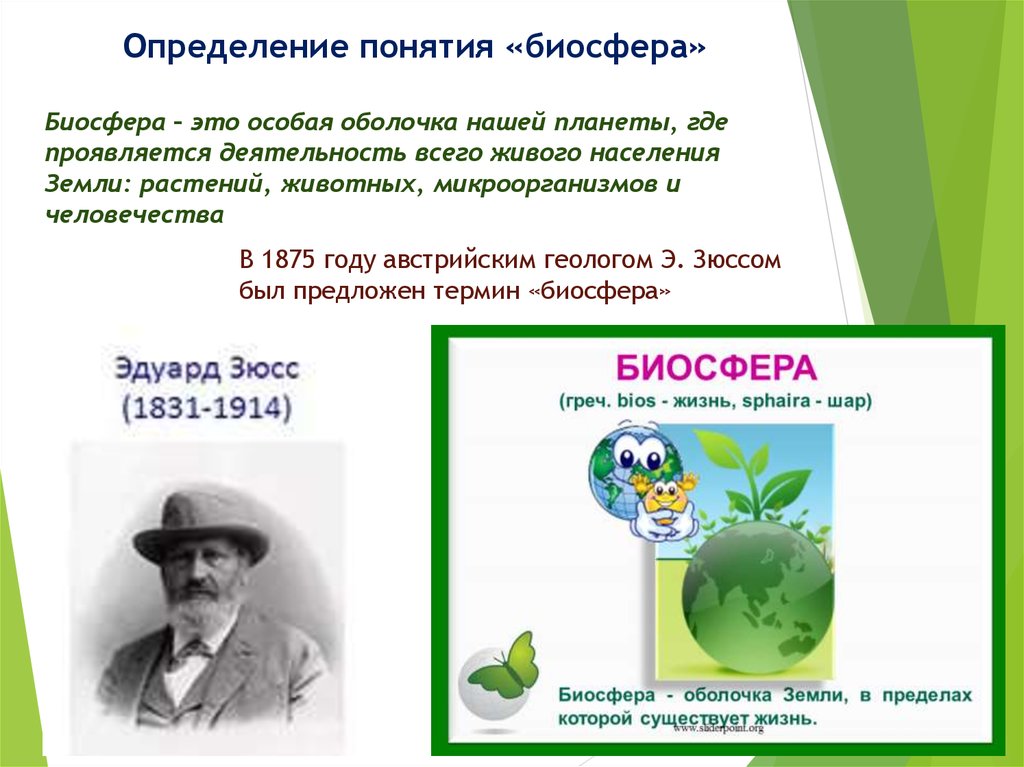 Информация о биосфере. Понятие Биосфера. Определение понятия Биосфера. Биосфера понятие биосферы. Биосфера презентация.