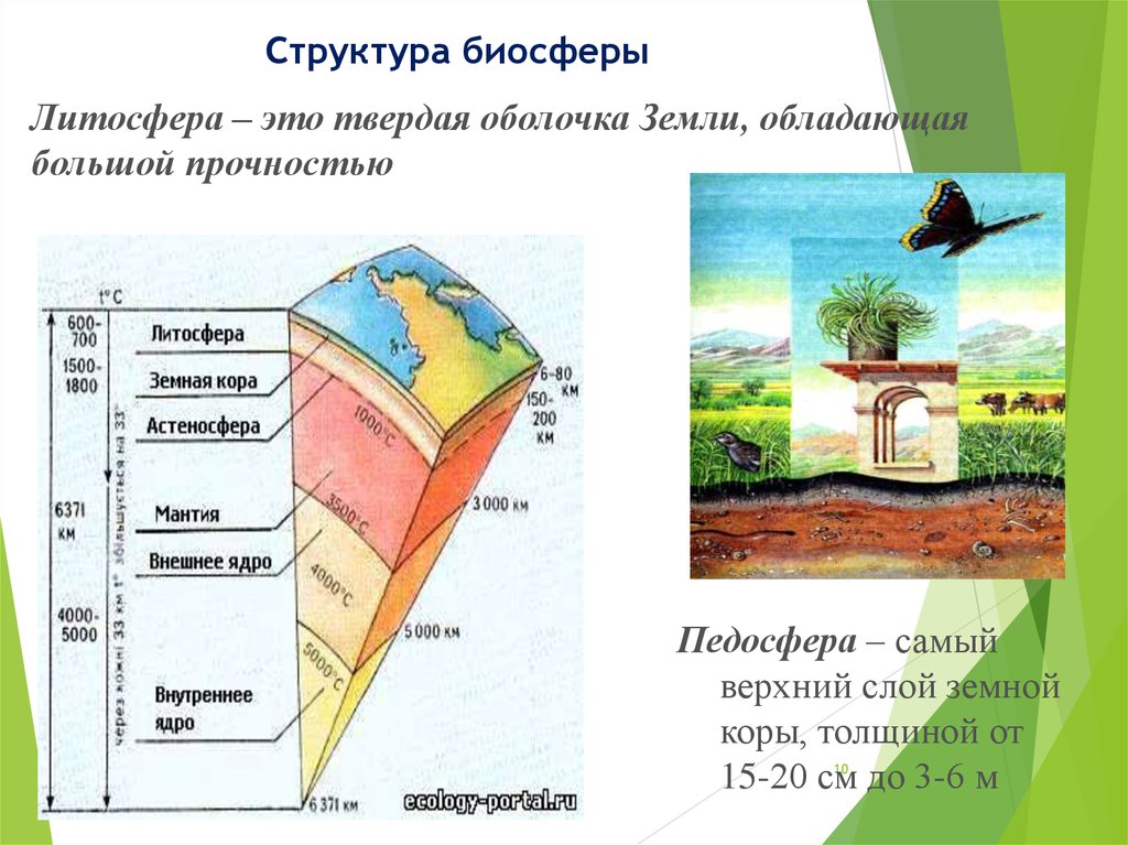 Какой оболочкой называют литосферу. Литосфера твердая оболочка земли. Структура биосферы земли. Схема строения литосферы земли.