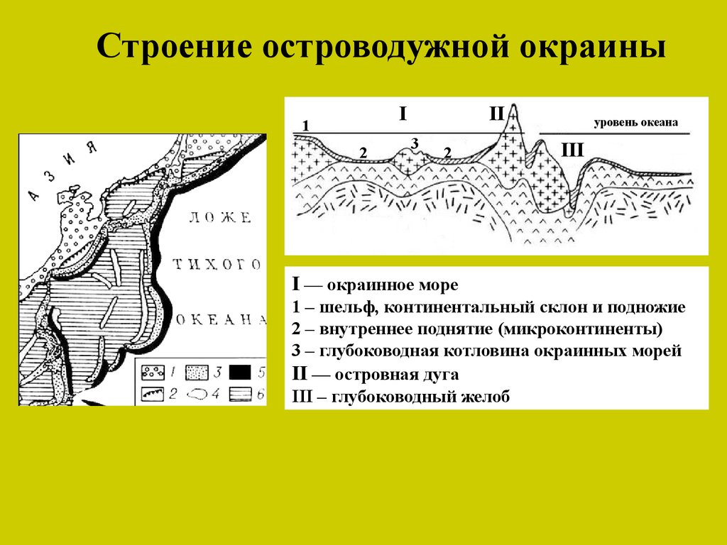 Континентальные окраины. Шельф и континентальный склон. Энсиалические островные дуги. Строение Континентальной окраины.