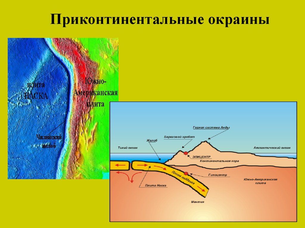 Континентальные окраины. Пассивная Континентальная окраина. Строение активной Континентальной окраины. Активная Континентальная окраина.