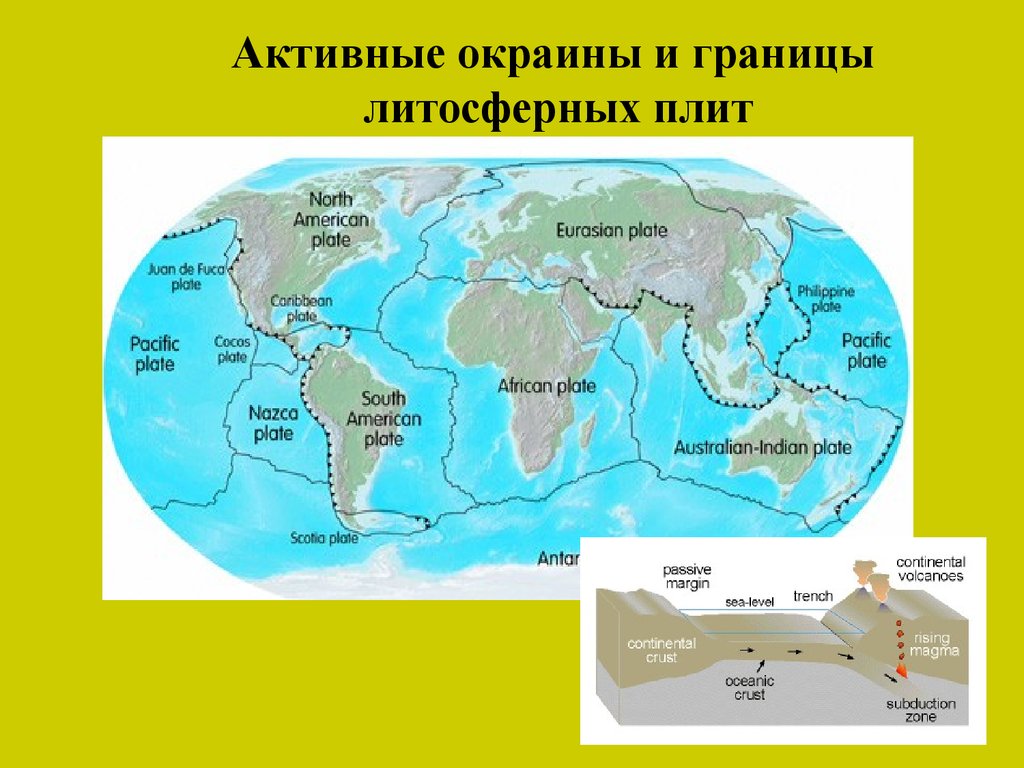 Какая крупная литосферная плита. Литосферные плиты. Карта литосферных плит Евразии. Континентальные окраины. Активные окраины континентов.