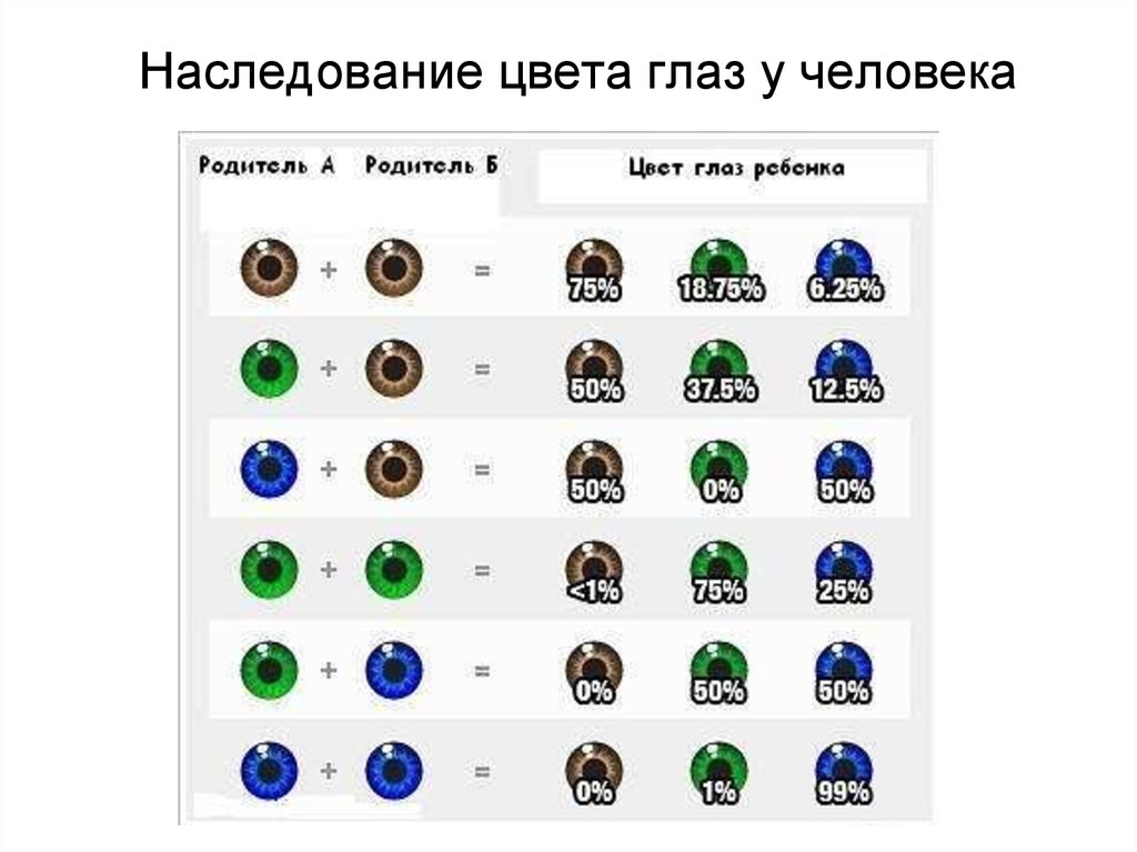 Пленка на глазах у человека после телефона