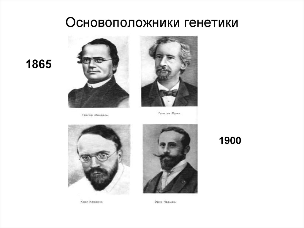 Основоположник генетики. Генетика основоположник 1865. Оснавараложники генетика. Основоположники в генетике.