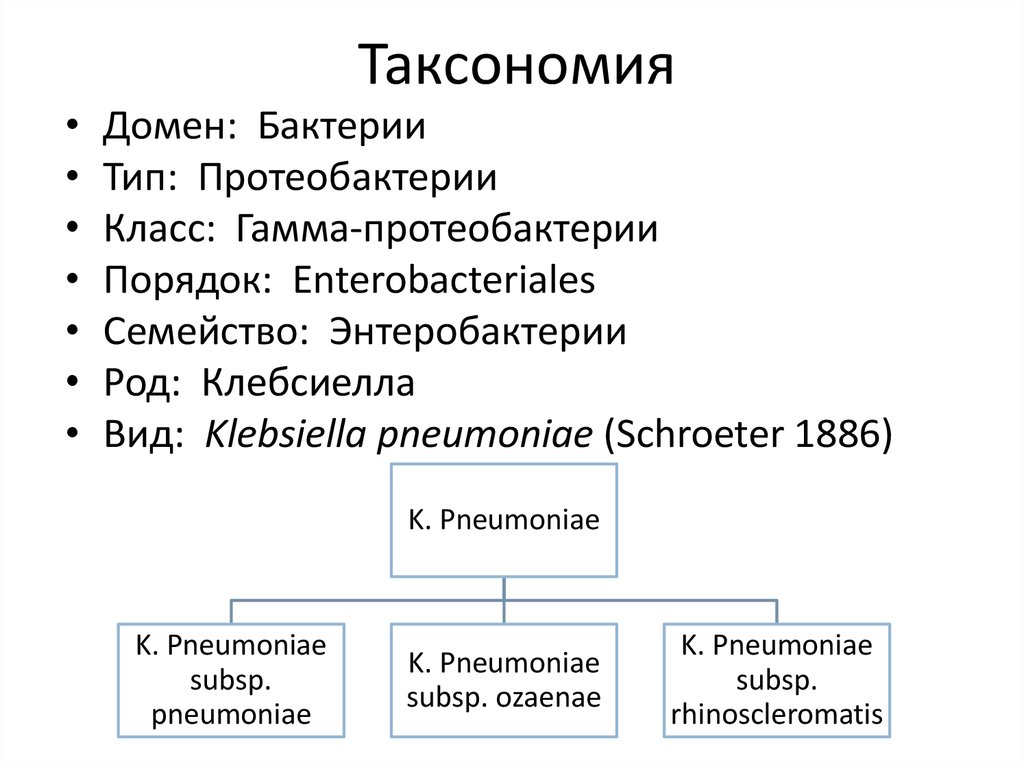 Таксономия зеленых проектов это