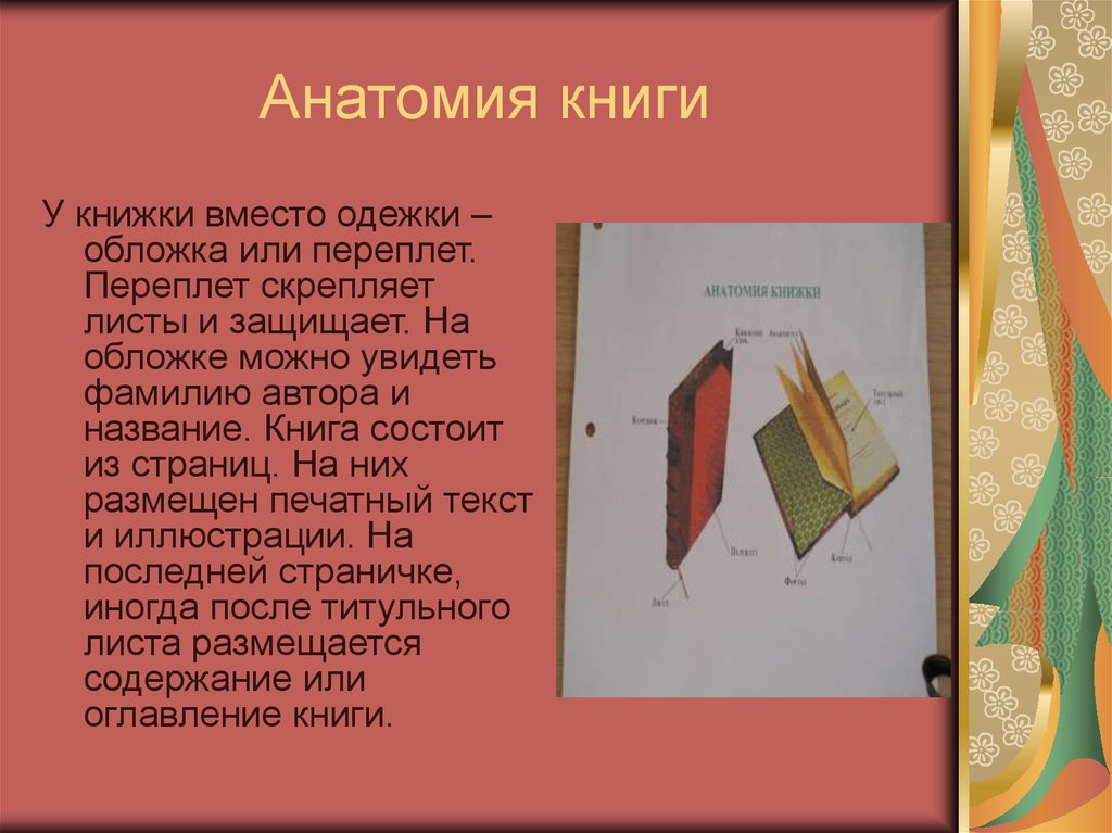 Частью книги является ответ. Части книги. Части книги как называются. Книга части книги. Элементы книги для детей.