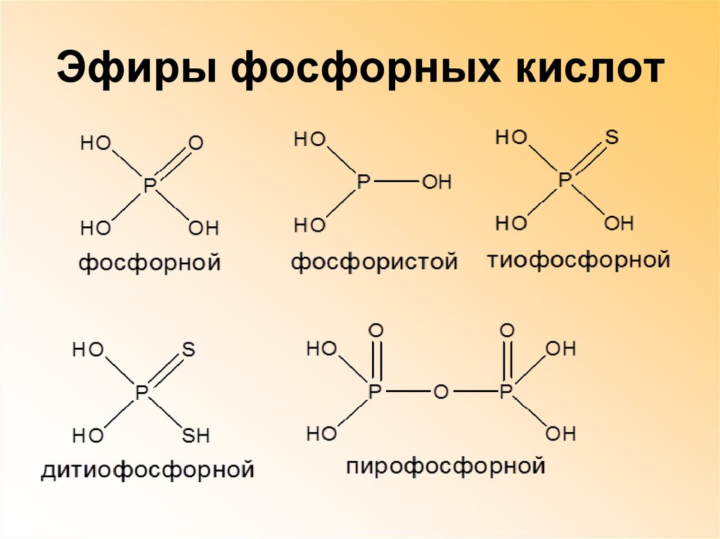 Эфиры фосфорных кислот