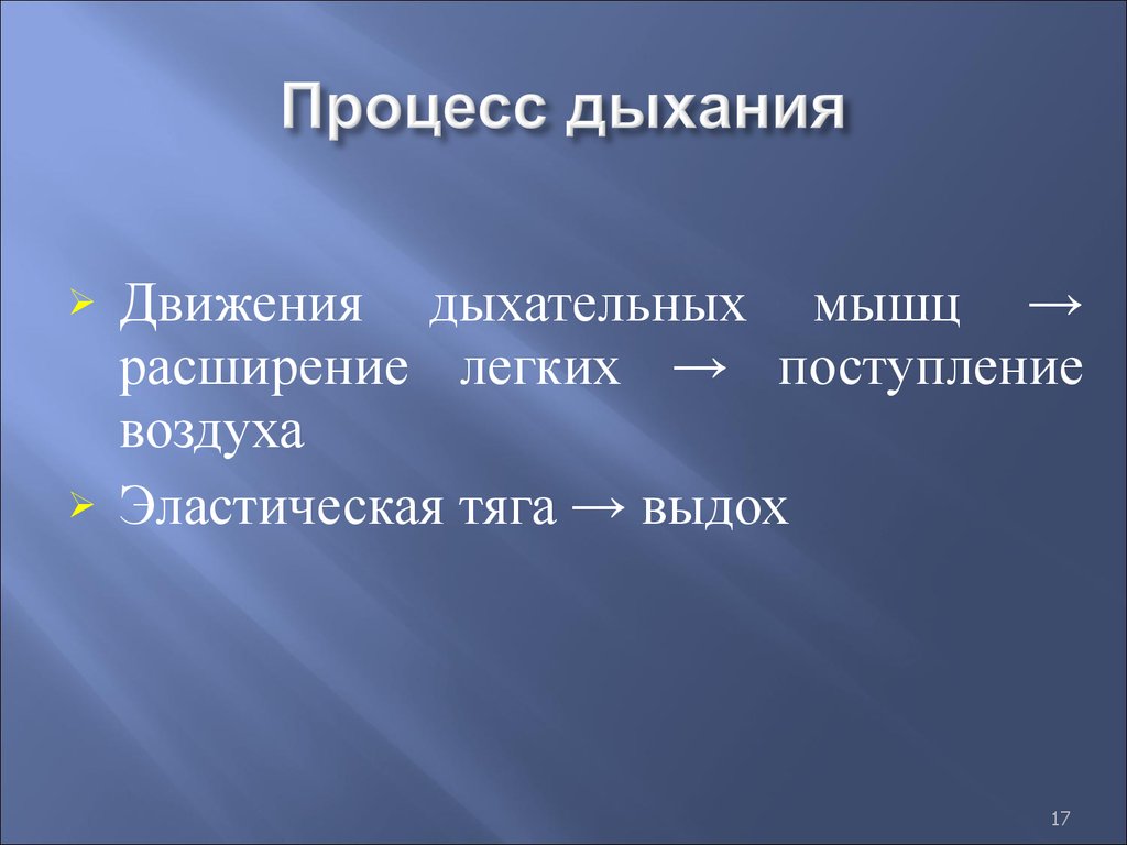 Дыхательные движения. Процесс вдоха. Процесс дыхательного движения. Звенья дыхательного процесса. Дыхательная система внешнее звено.