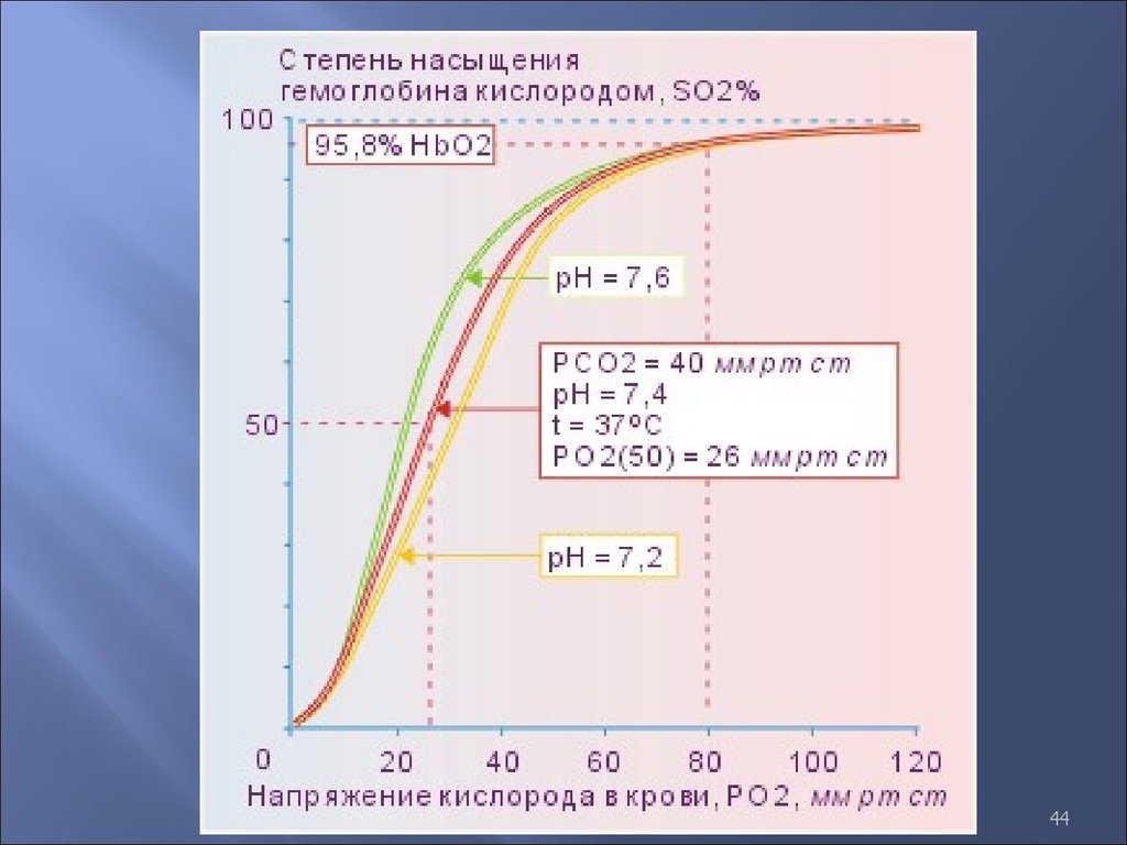 Схема насыщения крови кислородом