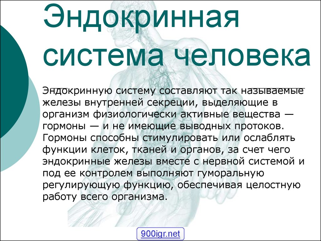 Эндокринная система человека презентация 8 класс