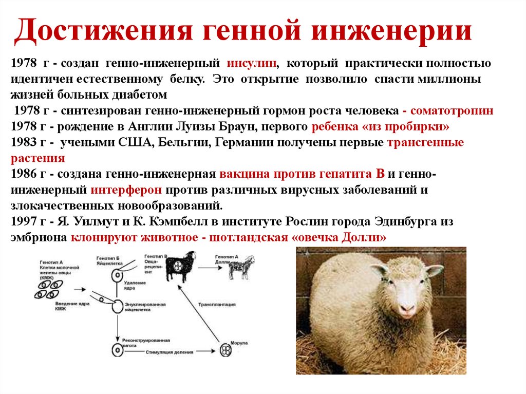 Генная инженерия где учиться. Достижения генной инженерии. Достижения генетической инженерии. Генная инженерия примеры. Генная инженерия презентация.