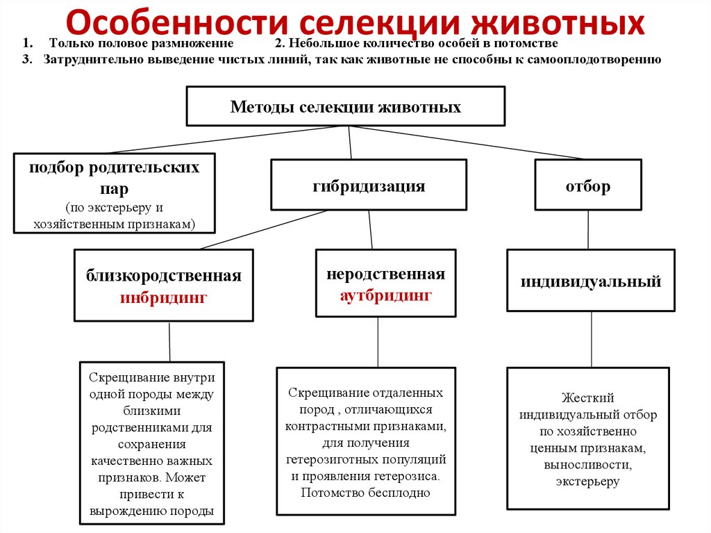 Схема методов селекции