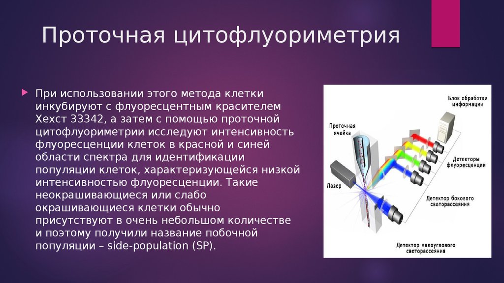 Схема подсчета лимфоцитов разных популяций с помощью проточного цитофлюориметра