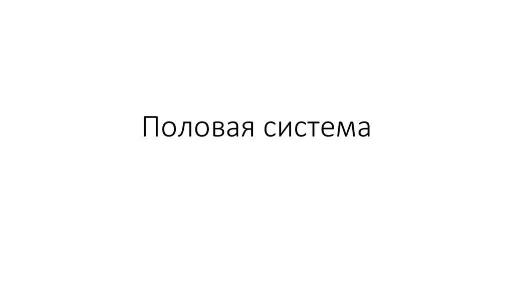 Половая система