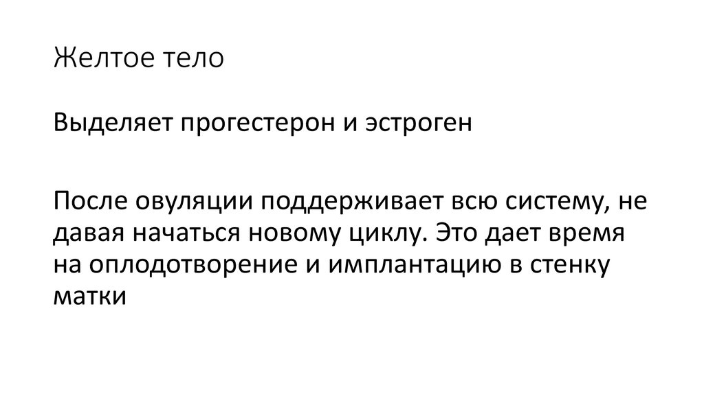 Желтое тело