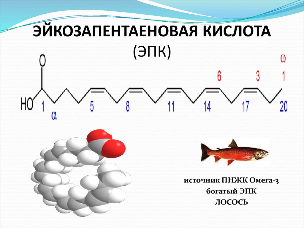 Жирные кислоты рисунок - 92 фото