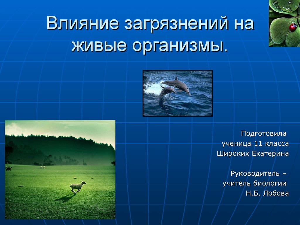 Влияния загрязнения на организмы. Влияние загрязнений на живые организмы. Влияние загрязнений на живые организмы презентация. Влияние загрязнения окружающей среды на живые организмы. Презентация на тему влияние загрязнений на живые организмы.