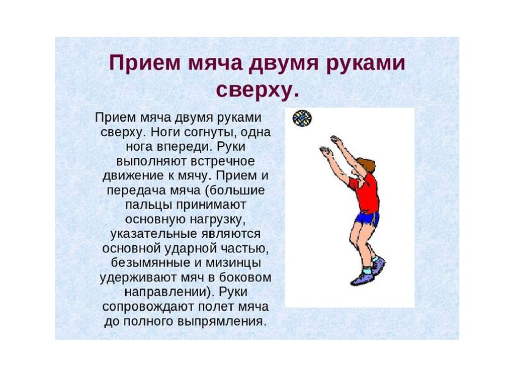 Теории на волейбол надежные бк