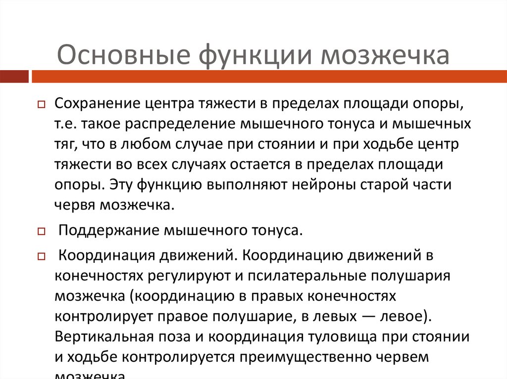 Функции мозжечка. Основные функции мозжечка. Основные функции мозжечк. Главная функция мозжечка.