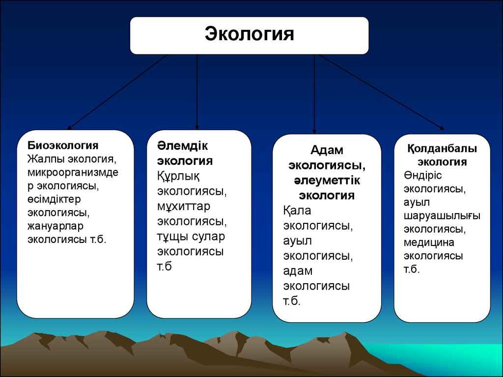 Адам экологиясы презентация