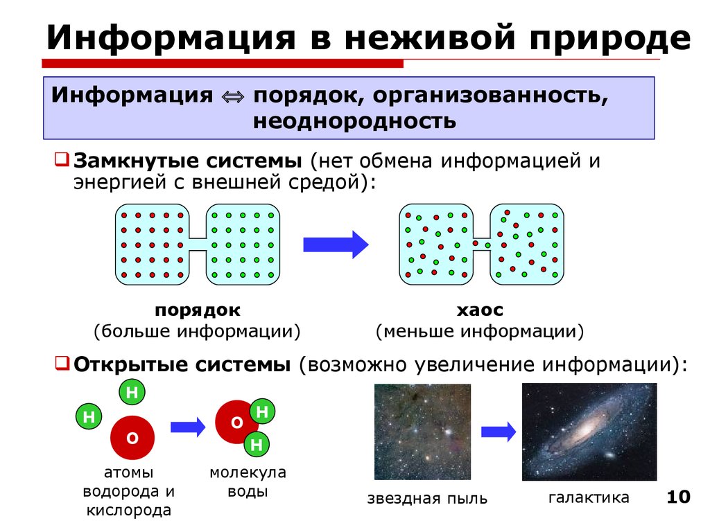 Необходимость процессов в природе. Информация в неживой природе. Информационные процессы в неживой природе. Сообщение информация о неживой природе. Информация и информационные процессы в живой природе.