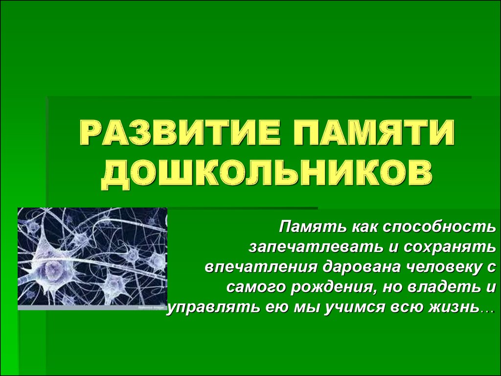 Познавательная деятельность. Память ребенка. Развитие памяти дошкольников -  презентация онлайн