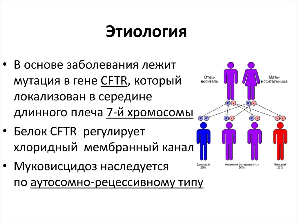 Имеет в основе. Муковисцидоз этиология. Мутация Гена муковисцидоза. Мутация в гене CFTR. Этиология муковисцидоза.