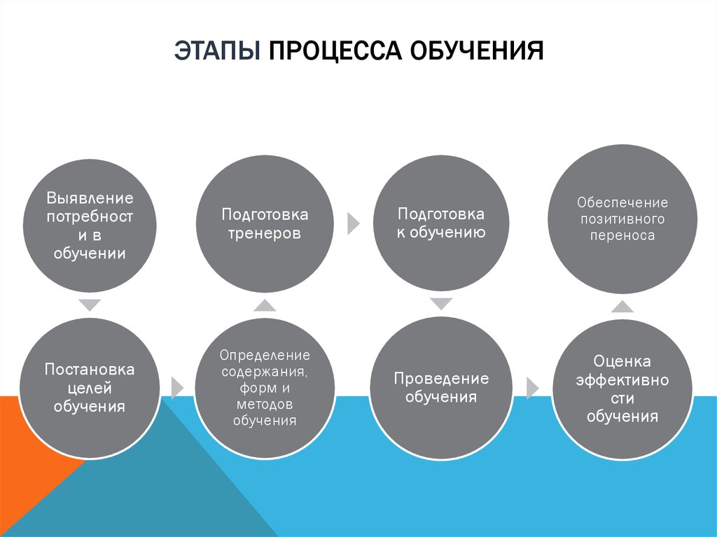 Процесс обучения языку. Этапы процесса обучения. Основные этапы процесса обучения. Первичный этап процесса обучения. Этапы процесса обучения персонала.