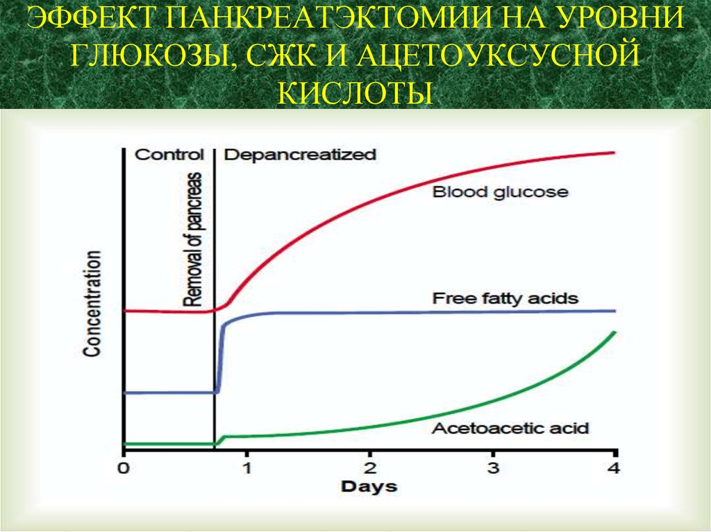 Глюкоза жирные кислоты. Уровень Глюкозы. Кислота эффект. СЖК. Сыворотка жеребых кобыл (СЖК).