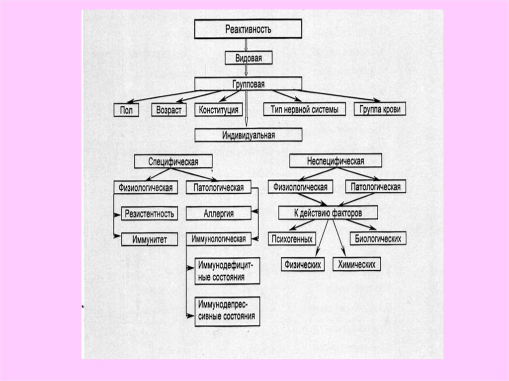 Видовая реактивность. Виды реактивности патофизиология. Реактивность схема. Иммунологическая реактивность патофизиология. Видовая реактивность примеры.