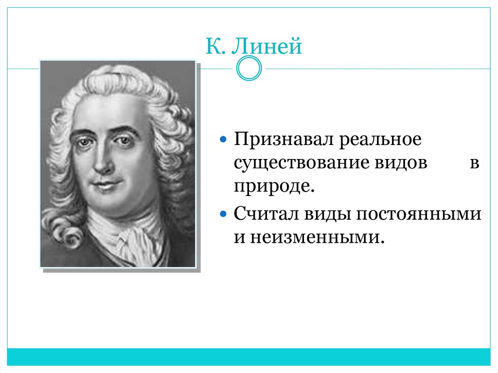 К линней. Линней. Существование видов Линней. Линь. Реальность существования вида Линней.