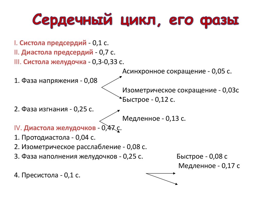 Фазы сердечного цикла схема