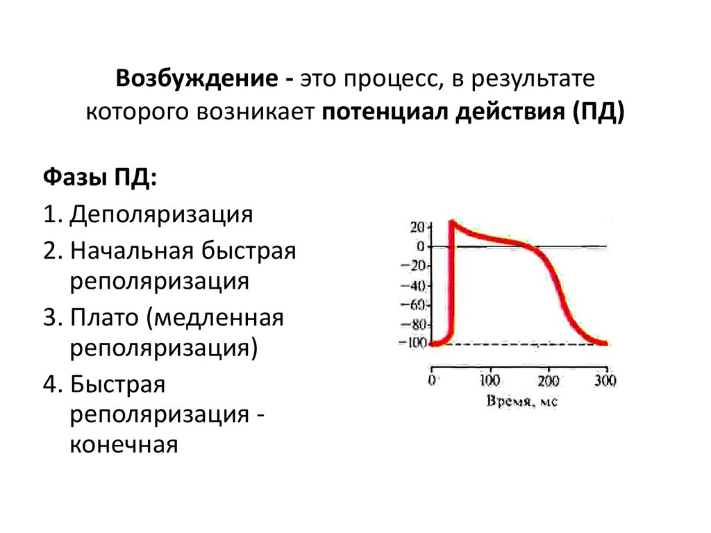 Возбуждение это