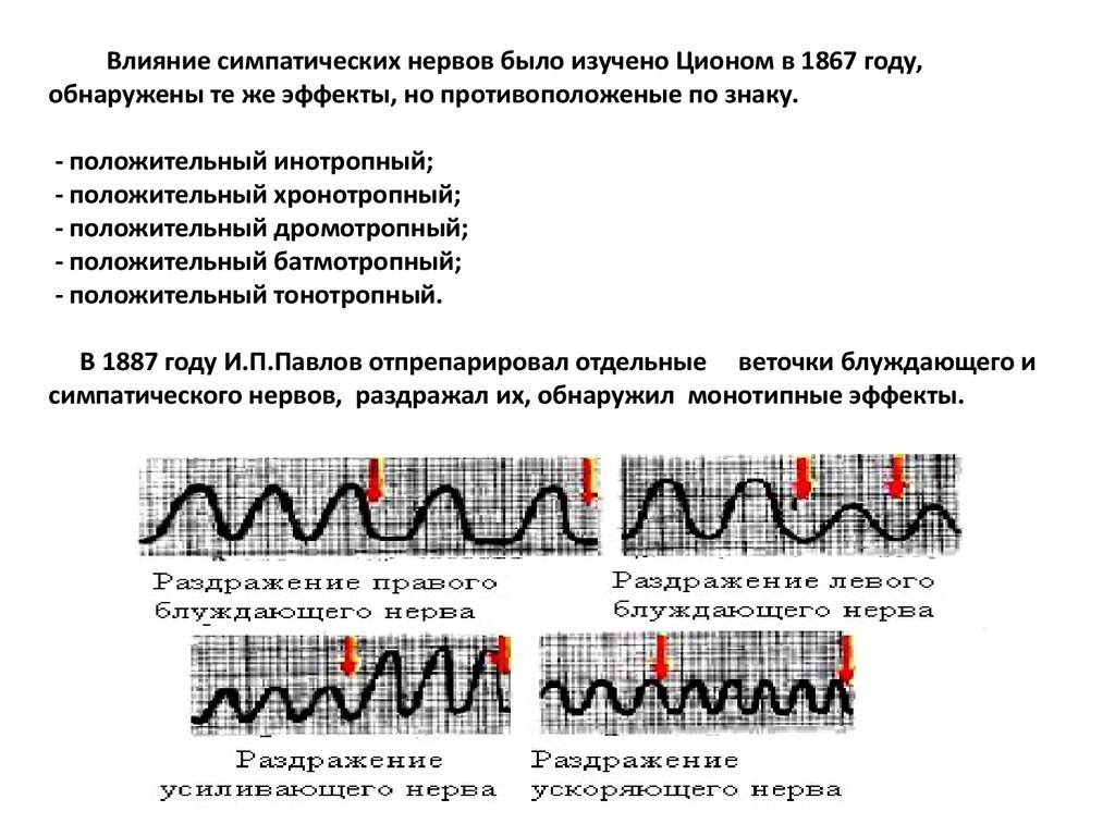 Показатели сердечной деятельности презентация