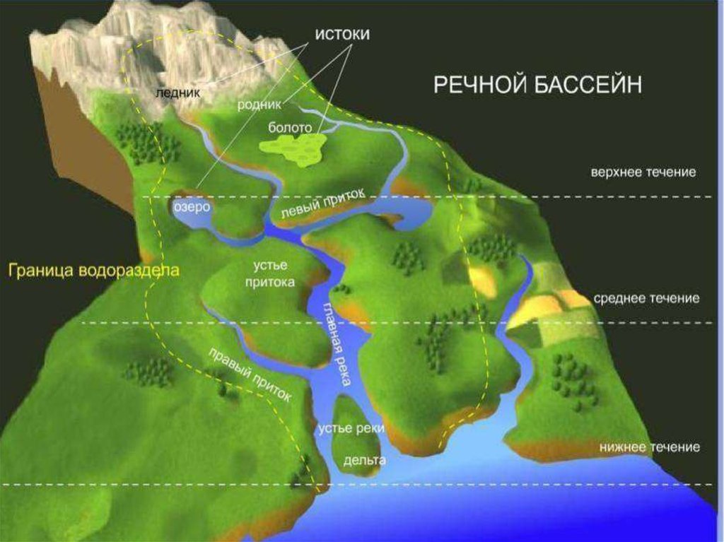 Водораздел. Строение бассейна реки. Речной бассейн. Структура речного бассейна. Структура реки.