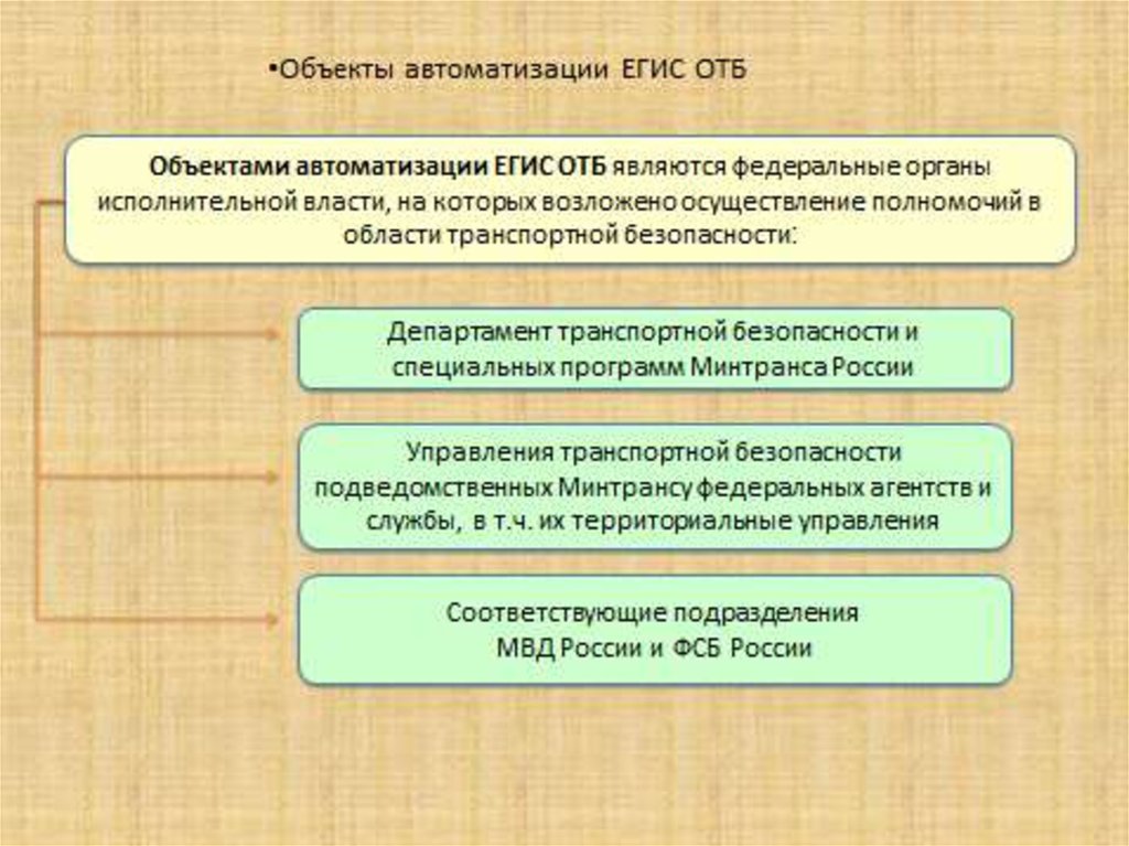 Федеральные органы исполнительной власти осуществляющие контроль. Органы исполнительной власти в транспортной безопасности. Информационное обеспечение ТБ. Федеральные органы исполнительной власти ОТБ. Федеральные органы в области транспортной безопасности.