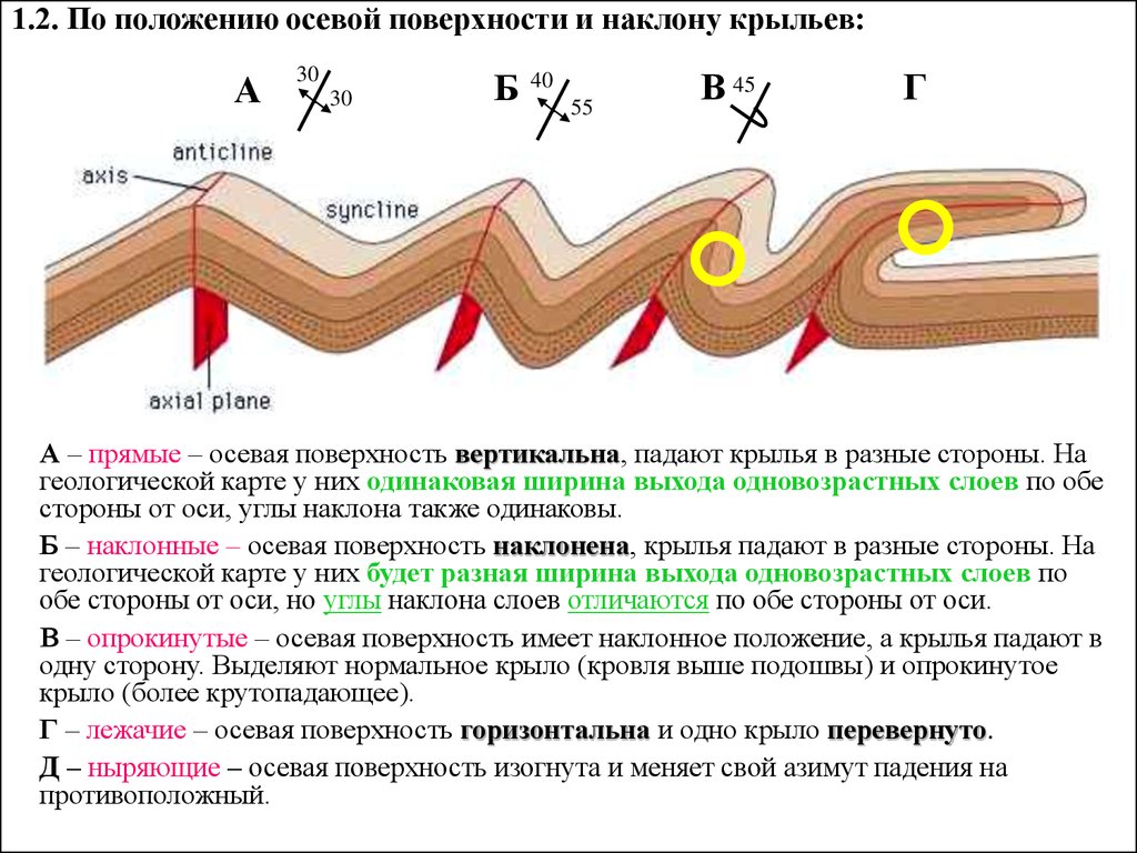 Сопоставьте элементы рисунка а б в г с типами складок по положению крыльев