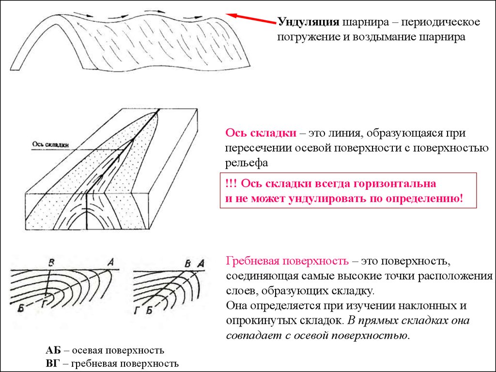 Сопоставьте элементы рисунка а б в г с типами складок по положению крыльев