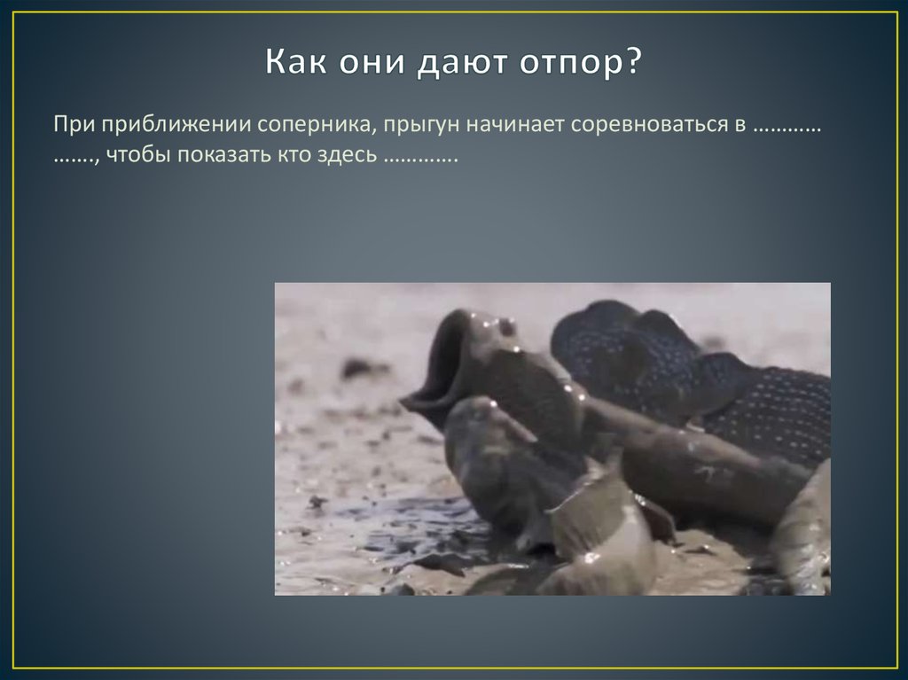 Как они дают отпор?