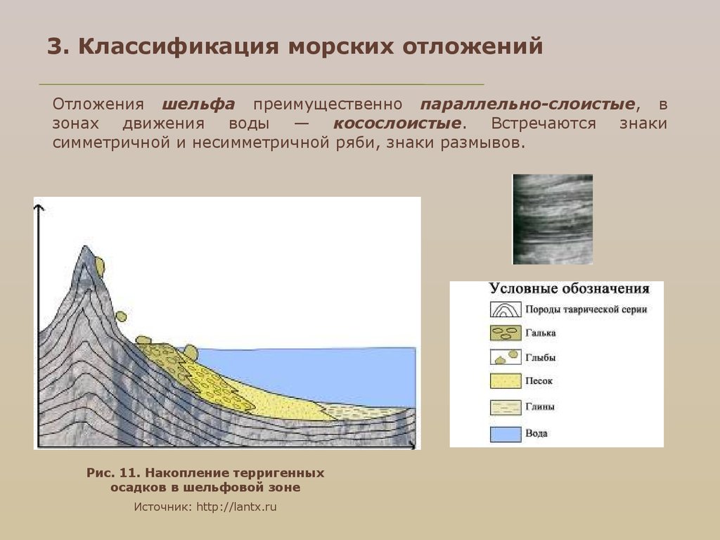 Морские осадки. Морские отложения. Классификация морских отложений. Морские отложения Геология. Терригенные морские отложения.