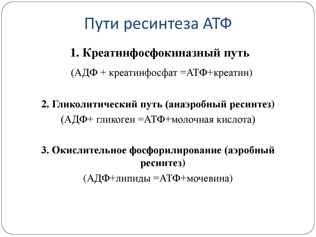 Анаэробный ресинтез атф. 3 Основных пути ресинтеза АТФ. Пути совершенствования процессов ресинтеза АТФ. Аэробные источники ресинтеза АТФ. Аэробный путь ресинтеза АТФ схема.