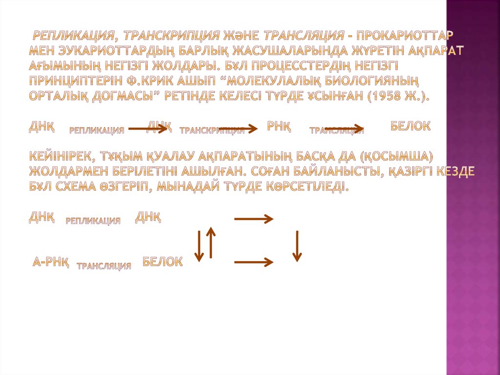 Репликация, транскрипция және трансляция - прокариоттар мен эукариоттардың барлық жасушаларында жүретiн ақпарат ағымының негiзгi жолдары. 