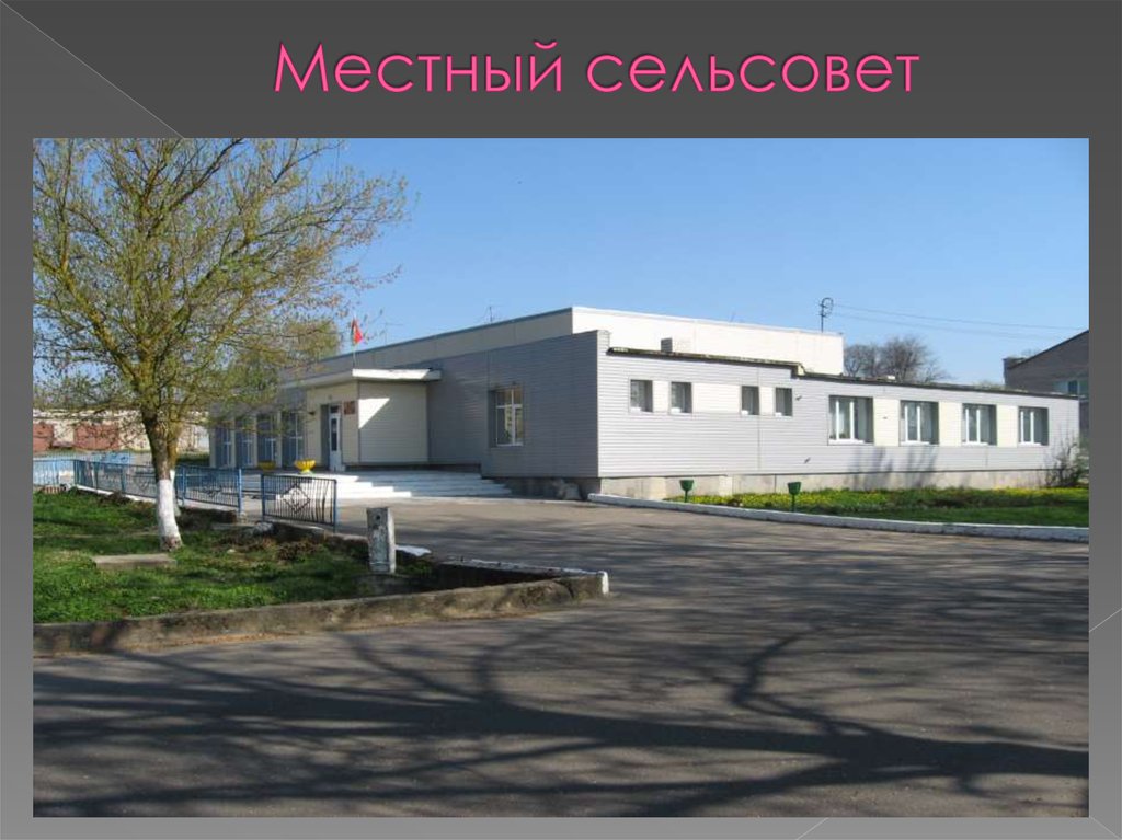 Местный сельсовет