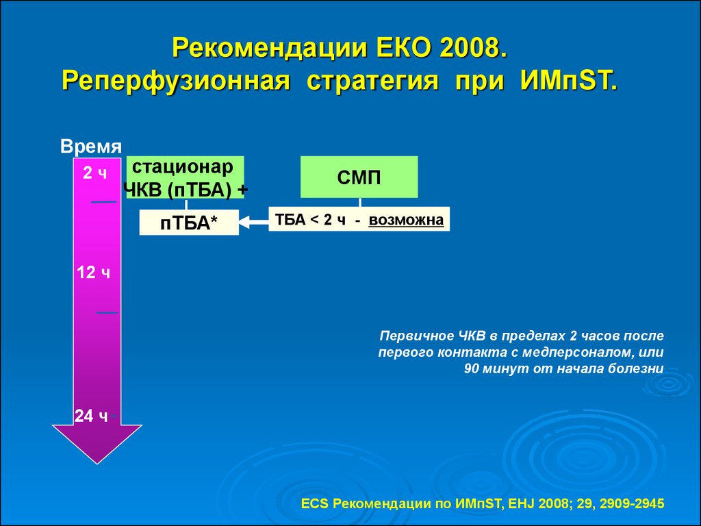 Реперфузионная карта образец