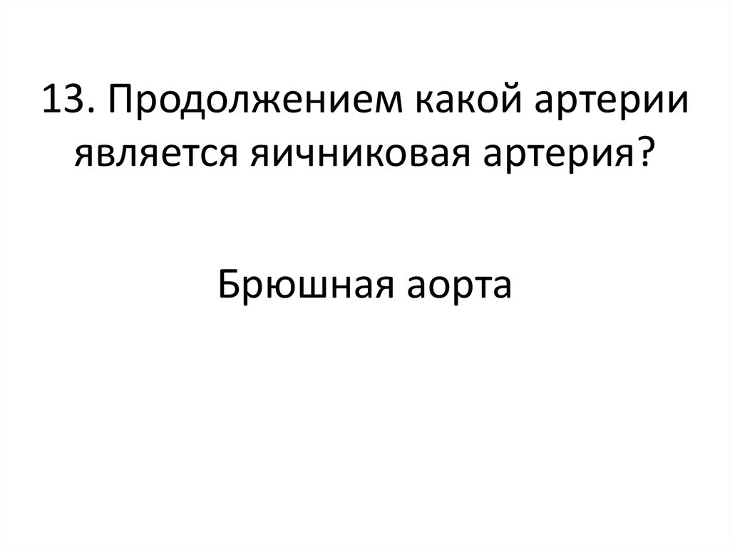 Женская репродуктивная система презентация