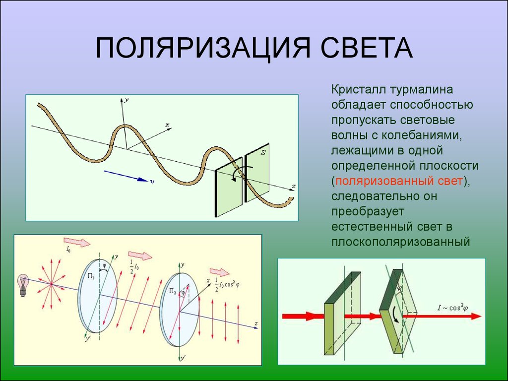 Поляризация тел. Поляризация волн физика 11 класс. Поляризация продольных волн. Поляризация света физика 9 класс. Поляризация электромагнитные волны физика.