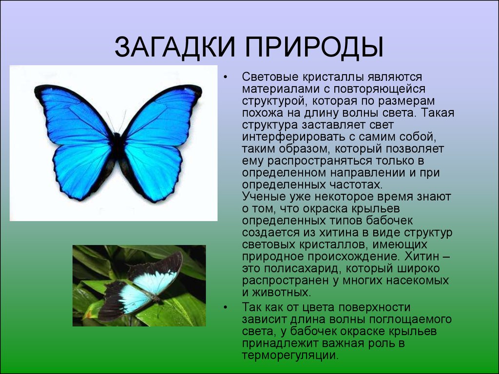 Поверхностью в зависимости от. Загадки природы. Загадки о природе с картинками. Загадки на тему природные сообщения. Проект тайны природы.