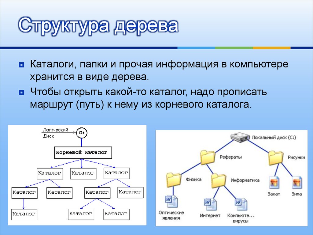 Составляющие структуры данных. Дерево файловой структуры. Каталог и подкаталог. Структура дерева каталогов. Дерево каталогов Информатика.