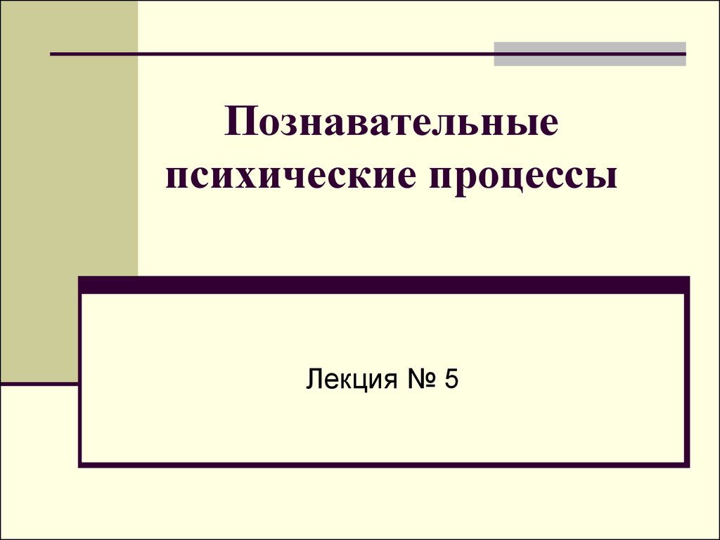 Познавательные психические процессы (лекция 5) - презентация онлайн